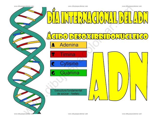 Dia internacional del ADN dibujo a color y para colorear